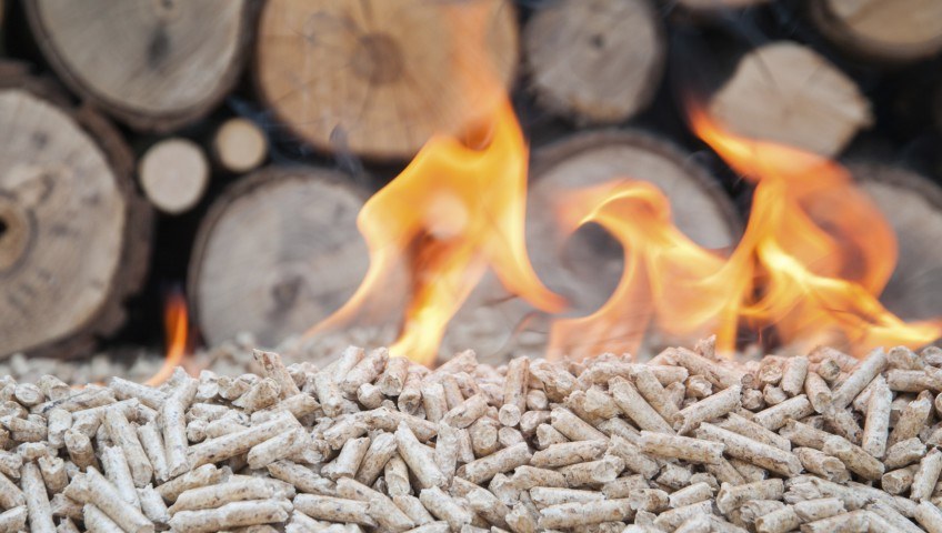 biomass.jpg#asset:5333